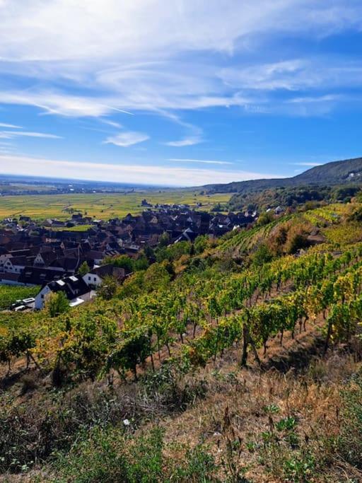 Entre Vignes Et Vergers Gite Parenthese Gueberschwihr Екстериор снимка